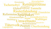 Wort des Jahres (Wortwolke)